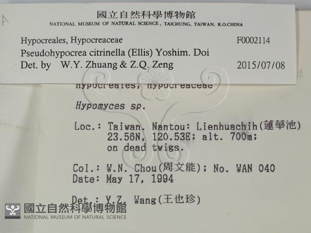 登錄號:F0002114藏品圖，第2張