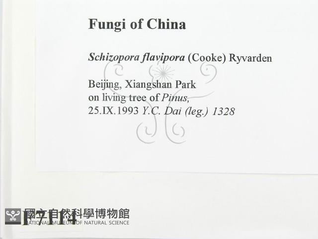 登錄號:F0007114藏品圖，第2張