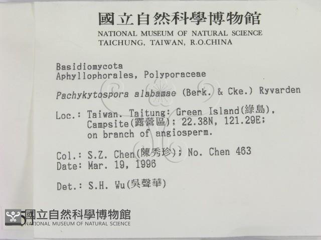 登錄號:F0005114藏品圖，第2張