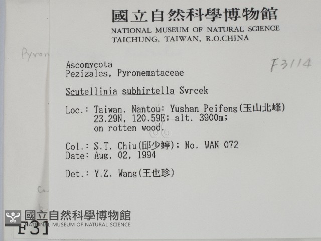 登錄號:F0003114藏品圖，第2張