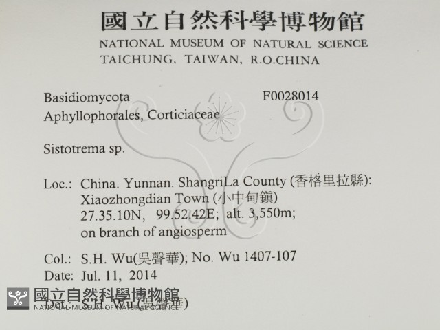 登錄號:F0028014藏品圖，第2張