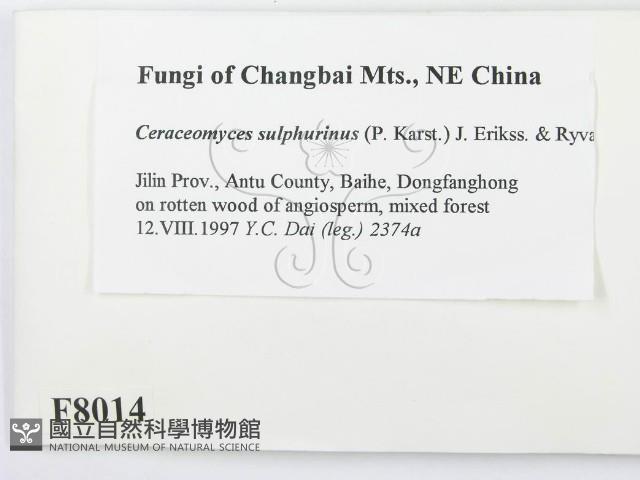 登錄號:F0008014藏品圖，第2張