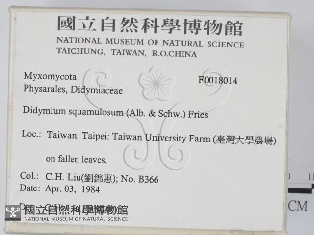 登錄號:F0018014藏品圖，第2張
