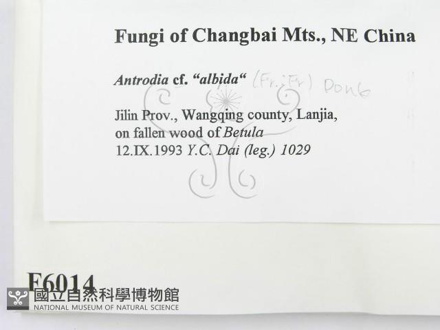 登錄號:F0006014藏品圖，第2張