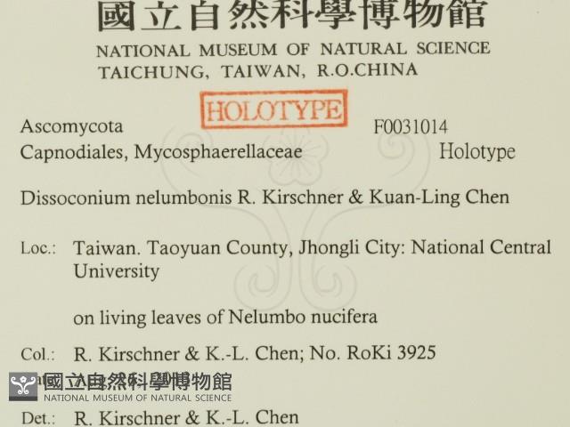 登錄號:F0031014藏品圖，第2張