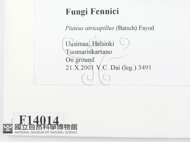 登錄號:F0014014藏品圖，第2張