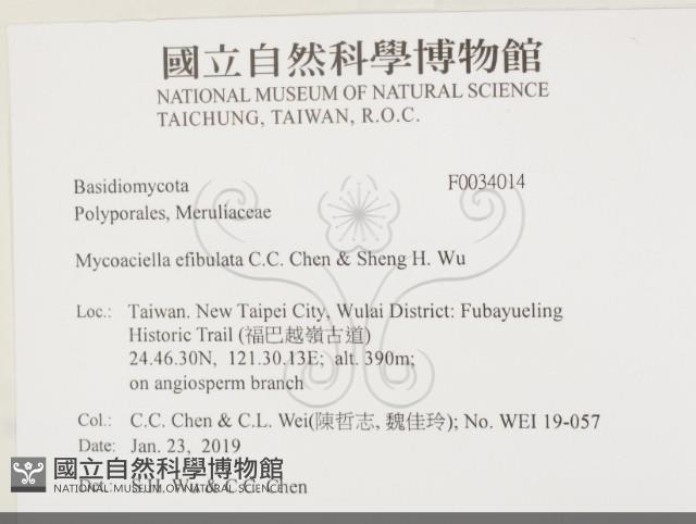 登錄號:F0034014藏品圖，第2張