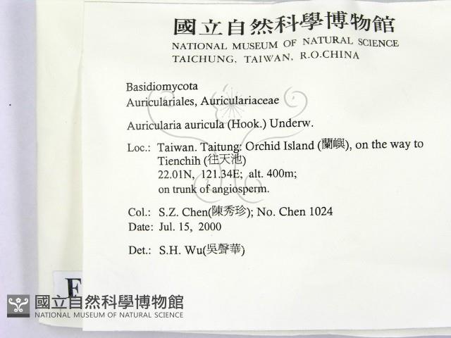 登錄號:F0012014藏品圖，第2張