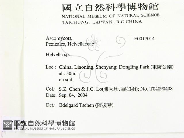 登錄號:F0017014藏品圖，第2張