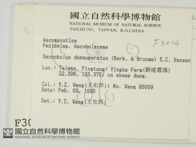 登錄號:F0003014藏品圖，第2張