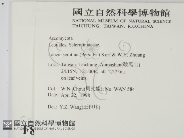登錄號:F0008314藏品圖，第2張
