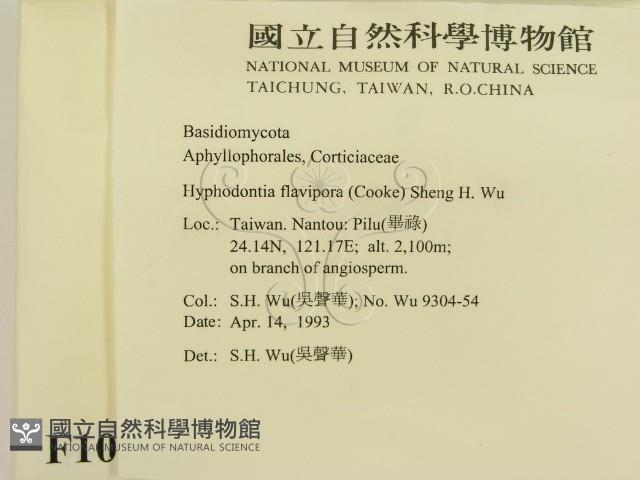 登錄號:F0010314藏品圖，第2張