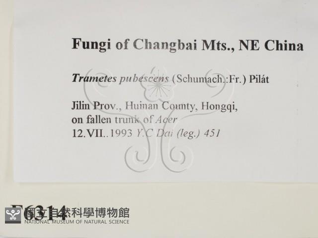 登錄號:F0006314藏品圖，第2張