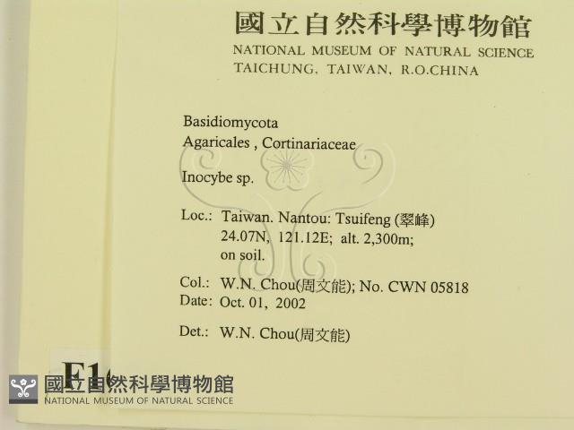 登錄號:F0016314藏品圖，第2張
