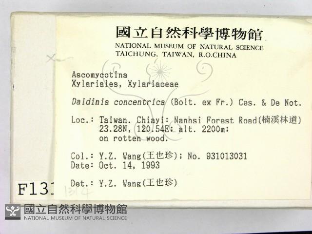 登錄號:F0001314藏品圖，第2張
