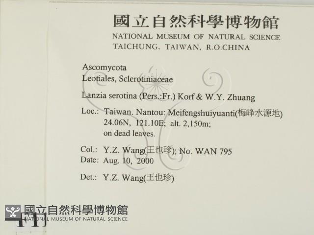 登錄號:F0011314藏品圖，第2張