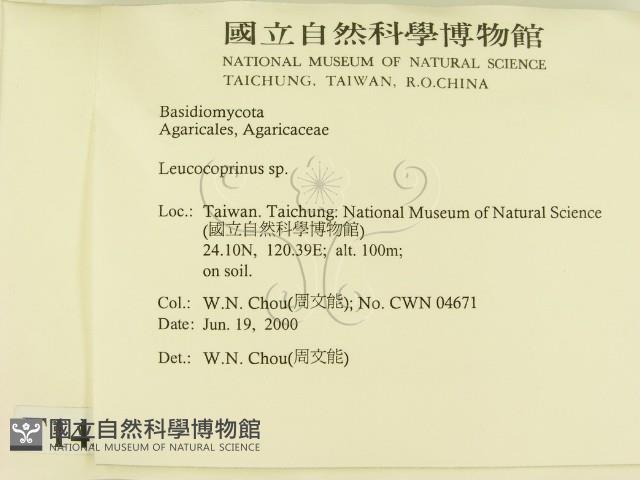 登錄號:F0014314藏品圖，第2張