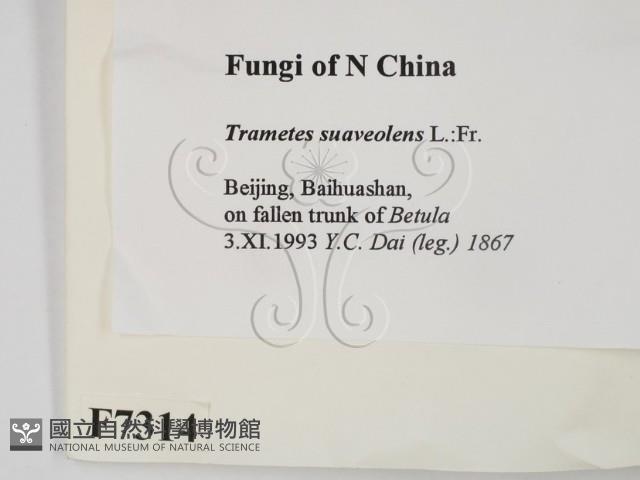 登錄號:F0007314藏品圖，第2張