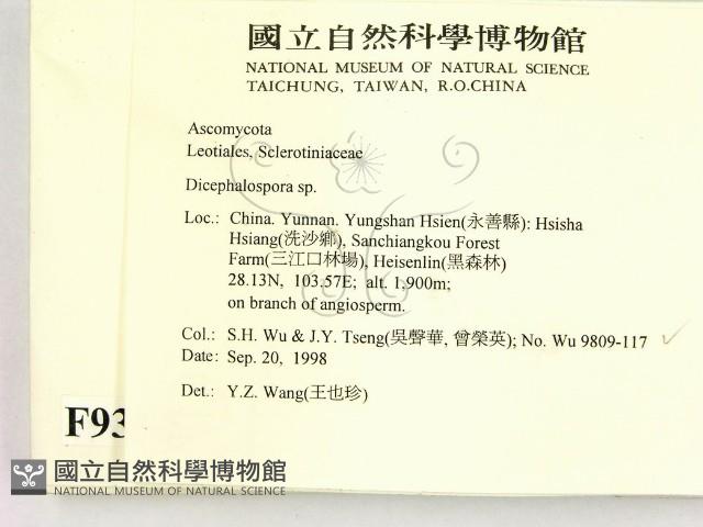 登錄號:F0009314藏品圖，第2張