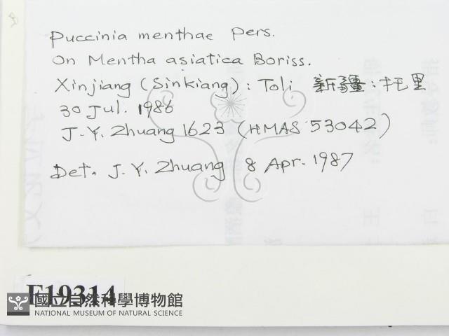 登錄號:F0019314藏品圖，第2張