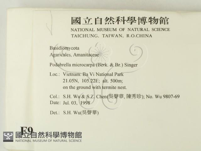 登錄號:F0009054藏品圖，第2張