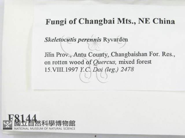 登錄號:F0008144藏品圖，第2張