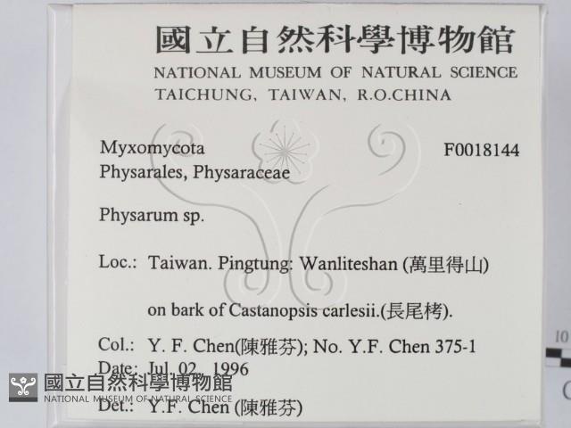 登錄號:F0018144藏品圖，第2張