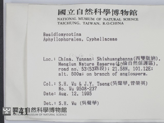 登錄號:F0004144藏品圖，第2張