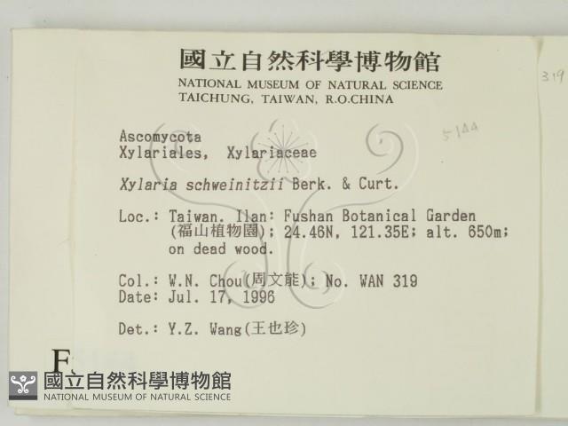 登錄號:F0005144藏品圖，第2張