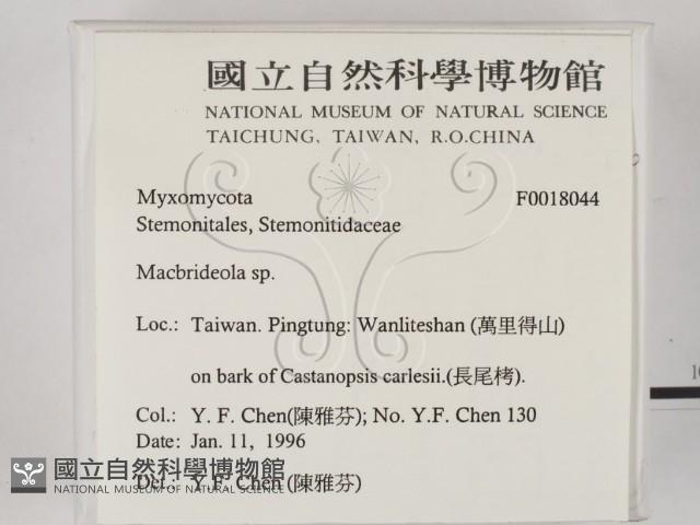 登錄號:F0018044藏品圖，第2張
