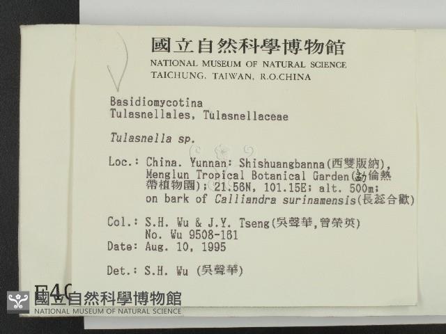 登錄號:F0004044藏品圖，第2張