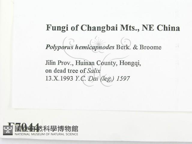 登錄號:F0007044藏品圖，第2張