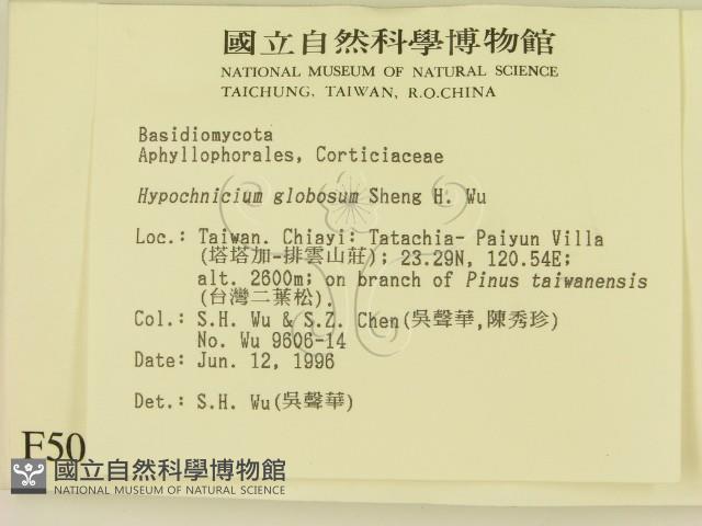 登錄號:F0005044藏品圖，第2張