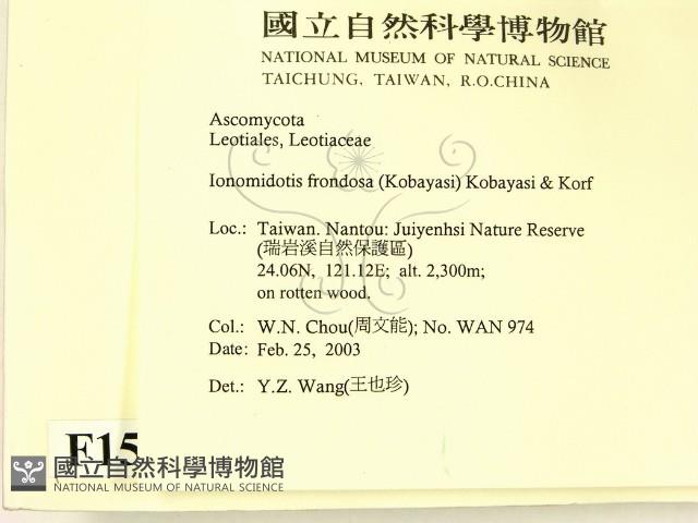 登錄號:F0015044藏品圖，第2張