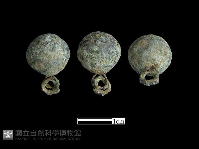 鈕子藏品圖，第1張