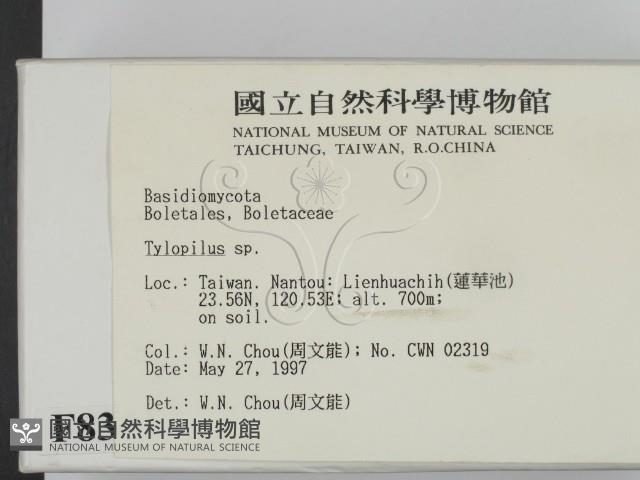 登錄號:F0008344藏品圖，第2張