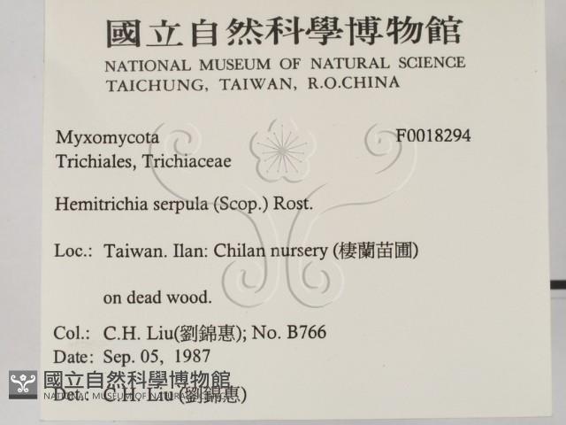 登錄號:F0018294藏品圖，第2張