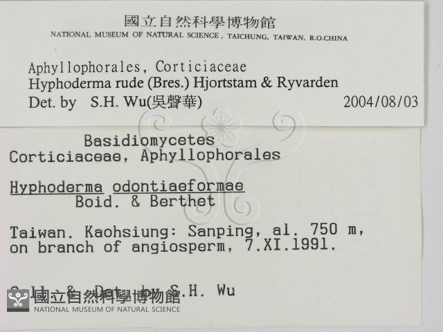 登錄號:F0000294藏品圖，第2張
