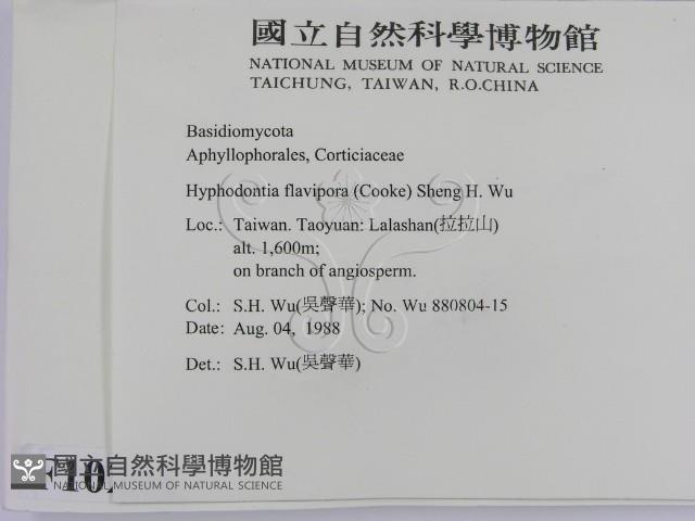 登錄號:F0010294藏品圖，第2張