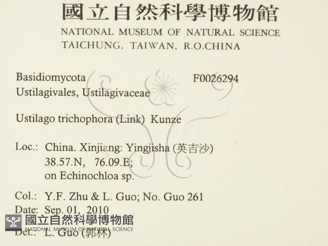 登錄號:F0026294藏品圖，第2張