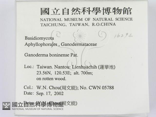 登錄號:F0016294藏品圖，第2張