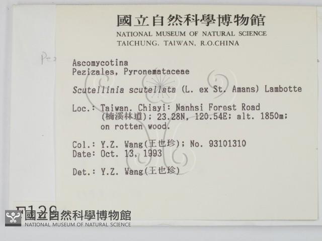 登錄號:F0001294藏品圖，第2張