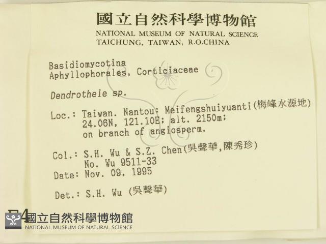 登錄號:F0004294藏品圖，第2張