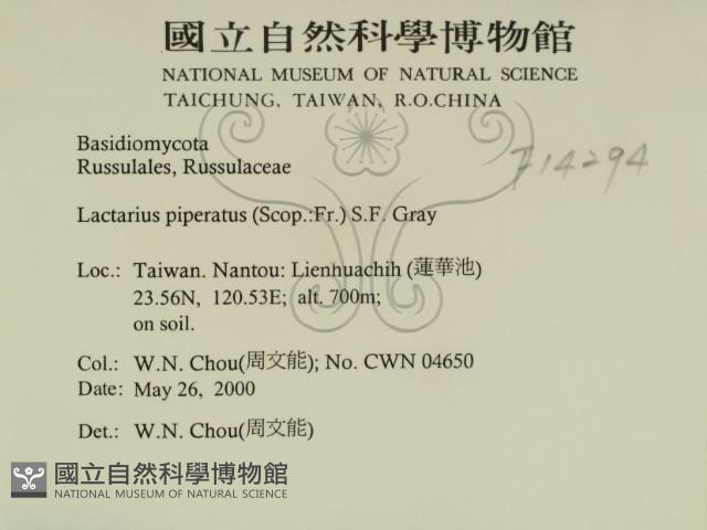 登錄號:F0014294藏品圖，第2張