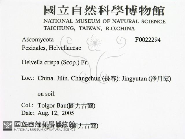 登錄號:F0022294藏品圖，第2張