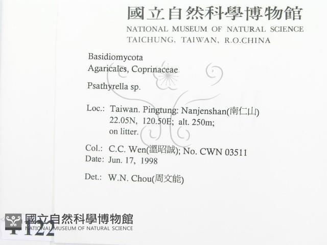 登錄號:F0012294藏品圖，第2張
