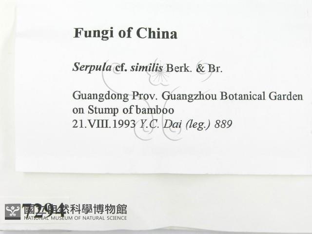 登錄號:F0007294藏品圖，第2張