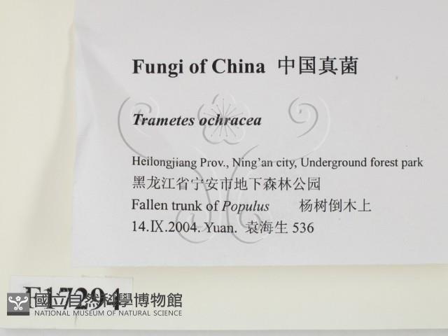 登錄號:F0017294藏品圖，第2張