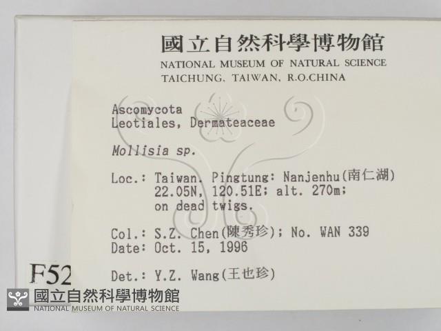 登錄號:F0005294藏品圖，第2張