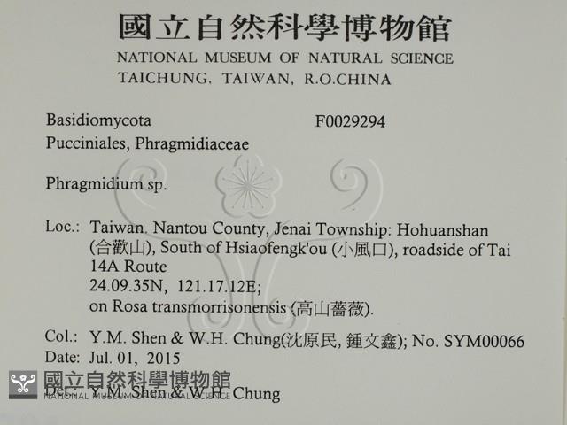 登錄號:F0029294藏品圖，第2張